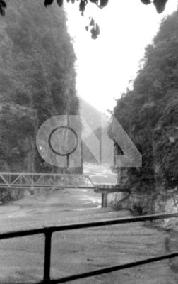 19590316013802