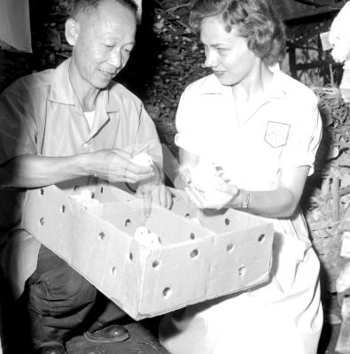 19590913005600