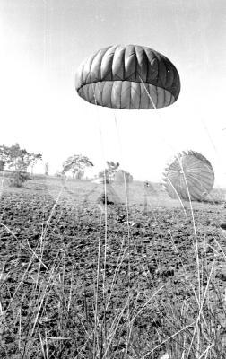 19621018011501