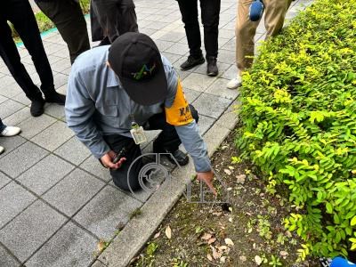 topicimg.IMG_ID