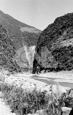P19560000000000300