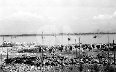 P19620000000