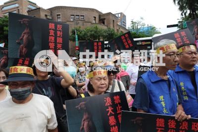 動保人士動員抗議禁止餵食流浪犬貓入法(2)| 生活 | 中央社影像空間