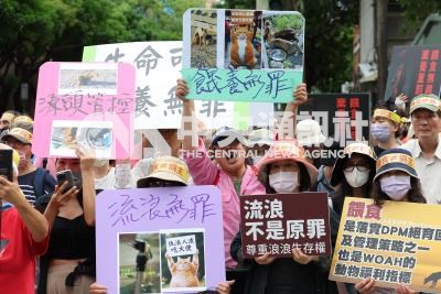 動保人士動員抗議禁止餵食流浪犬貓入法(3)| 生活 | 中央社影像空間